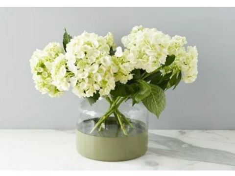 Picture of Sage Colorblock Flower Vase