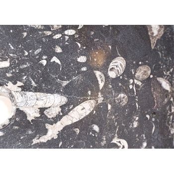Genese Brute Fossil Vessel in Noir (123)